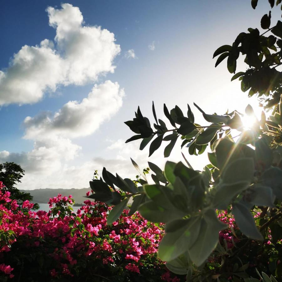 Vue Sur Mer A La Villa Parme Le Robert Bagian luar foto